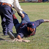 RJR_2024_10_19_1624a